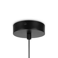 Дополнительная картинка Подвесной светильник Maytoni MOD321PL-01B