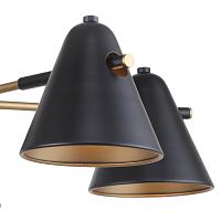 Дополнительная картинка Потолочная люстра F-Promo Rigor 2844-5P