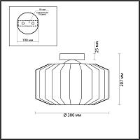 Дополнительная картинка Потолочный светильник Odeon Light Pendant Binga 4747/1C