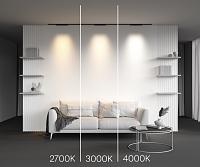 Дополнительная картинка Трековый светильник Technical TR193-1-15W2.7K-M-B