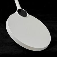 Дополнительная картинка Торшер Lussole LSP-0919