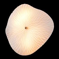 Настенный светильник Crystal Lux 1434/403