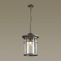 Дополнительная картинка Уличный подвесной светильник Odeon Light Nature Virta 4044/1