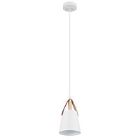 Дополнительная картинка Светильник подвесной Arte Lamp THOMAS A7032SP-1WH