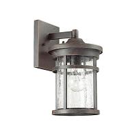 Дополнительная картинка Уличный настенный светильник Odeon Light Nature Virta 4044/1W