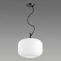 Дополнительная картинка Подвесной светильник Odeon Light Pendant Roofi 4754/1