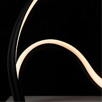 Дополнительная картинка Декоративная настольная лампа Arte Lamp HYPERBOLA A1987LT-12BK