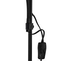 Дополнительная картинка Торшер Arte Lamp Duetto A9569PN-2BK