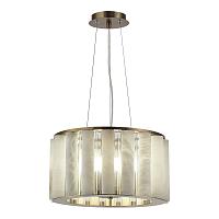 Дополнительная картинка SL1516.303.06 Светильник подвесной ST-Luce DELIGHT