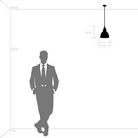 Дополнительная картинка Подвесной светильник Lightstar Loft 765017