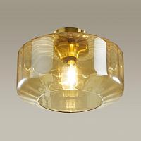 Дополнительная картинка Потолочный светильник Odeon Light Pendant Binga 4747/1C