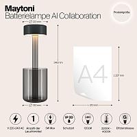 Дополнительная картинка Аккумуляторный светильник Maytoni MOD229TL-L3B3K3