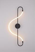 Дополнительная картинка Настенный светильник Arte Lamp KLIMT A2850AP-13BK
