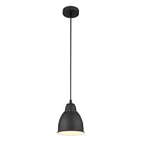 Дополнительная картинка Подвесной светильник Arte Lamp Braccio A2054SP-1BK