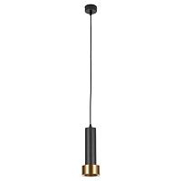 Дополнительная картинка Подвесной светильник Arte Lamp RAN A3147SP-1BK
