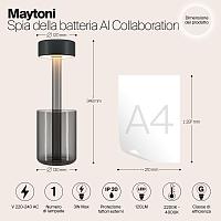 Дополнительная картинка Аккумуляторный светильник Maytoni MOD229TL-L3B3K3