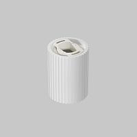 Дополнительная картинка Потолочный светильник Technical C121CL-GU10-W