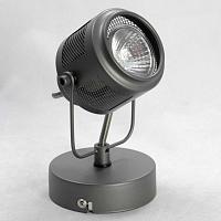 Дополнительная картинка Спот Lussole Loft Haines LSP-8045