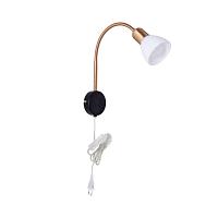 Дополнительная картинка Бра Arte Lamp Falena A3116AP-1BK