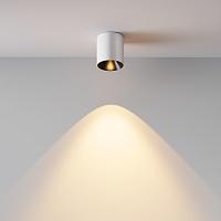 Дополнительная картинка Потолочный светильник Technical C064CL-5W2.7K-RD-WB