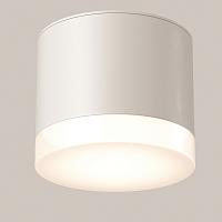 Дополнительная картинка Потолочный светильник Technical C087CL-GX53-W