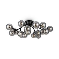 Дополнительная картинка Потолочная люстра Maytoni MOD545CL-20B
