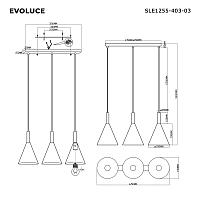 Дополнительная картинка SLE1255-403-03 Светильник подвесной 