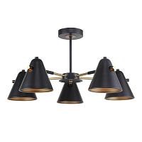 Дополнительная картинка Потолочная люстра F-Promo Rigor 2844-5P