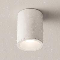 Дополнительная картинка Потолочный светильник Maytoni Antares C029CL-01W