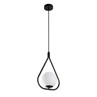 Дополнительная картинка Подвесной светильник Arte Lamp MATISSE A7764SP-1BK