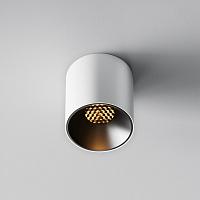 Дополнительная картинка Потолочный светильник Technical C064CL-5W2.7K-RD-WB