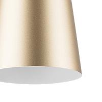 Дополнительная картинка Подвесной светильник Lightstar Dumo 816313
