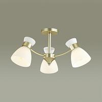 Дополнительная картинка Потолочная люстра Lumion Comfi Wilma 4535/3C