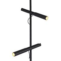 Дополнительная картинка SL6210.405.02 Светильник напольный ST-Luce 