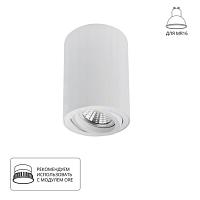 Точечный накладной светильник Arte Lamp SENTRY A1566PL-1WH, доставка по Казахстану 