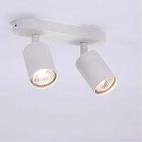 Дополнительная картинка Потолочный светильник Arte Lamp AQUARIUS A3226PL-2WH