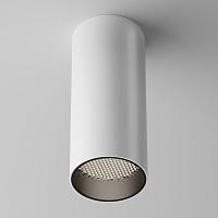 Дополнительная картинка Потолочный светильник Technical C056CL-L12W4K-W-W