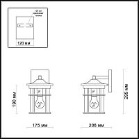 Дополнительная картинка Уличный настенный светильник Odeon Light Nature Virta 4044/1W