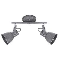 Дополнительная картинка Спот Arte Lamp A1677PL-2GY