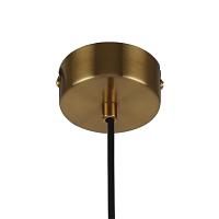 Дополнительная картинка Подвесной светильник Favourite Decus 2760-1P