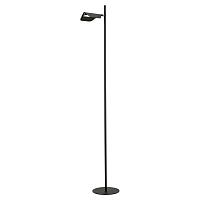 Дополнительная картинка Торшер Lussole LSP-0595