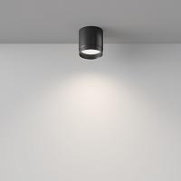 Дополнительная картинка Потолочный светильник Technical C088CL-GX53-B