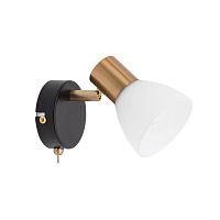 Настенный светильник Arte Lamp Falena A3117AP-1BK
