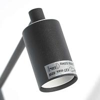Дополнительная картинка Люстра подвесная Lussole LSP-8156-CL