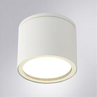 Дополнительная картинка Уличный потолочный светильник Arte Lamp PIAUTOS A1913PF-1WH