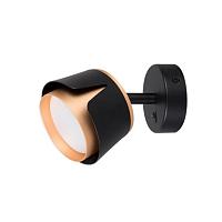 Дополнительная картинка Спот Arte Lamp AMAKS A8028AP-1BK