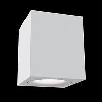 Дополнительная картинка Потолочный светильник Maytoni Alfa C013CL-01W