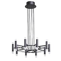Дополнительная картинка Подвесной светильник Arte Lamp EMPIRE A2482SP-20BK