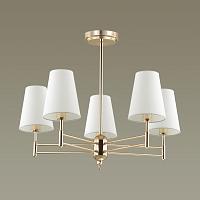 Дополнительная картинка Подвесная люстра Lumion Neoclassi Doris 4436/5C
